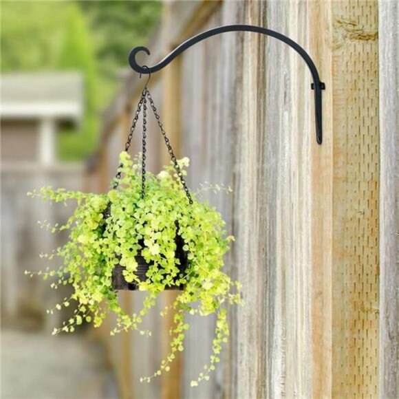 Hanging Plant Hanger Outdoor: 12-Inch Bird Feeder Wall Hooks - - Picture 4 of 7